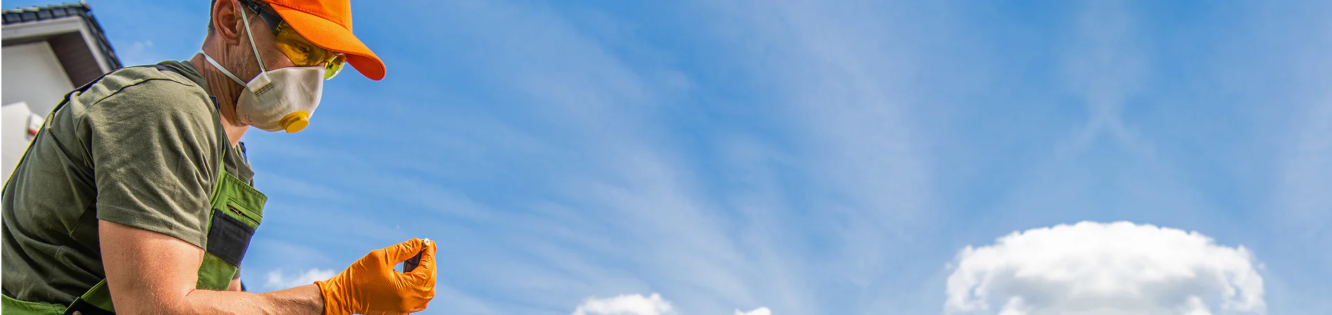 Early Alerts for Bed Bugs: Catching the Infestation Quickly